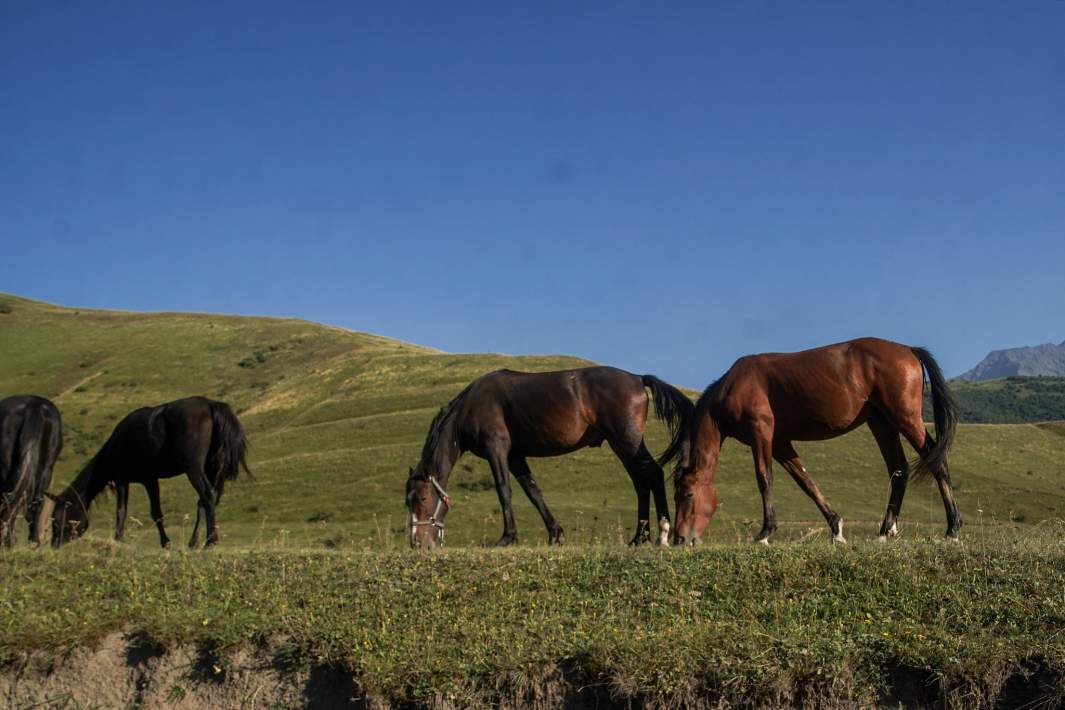 Иллюстрация Экономика впечатлений: как меняются предпочтения туристов